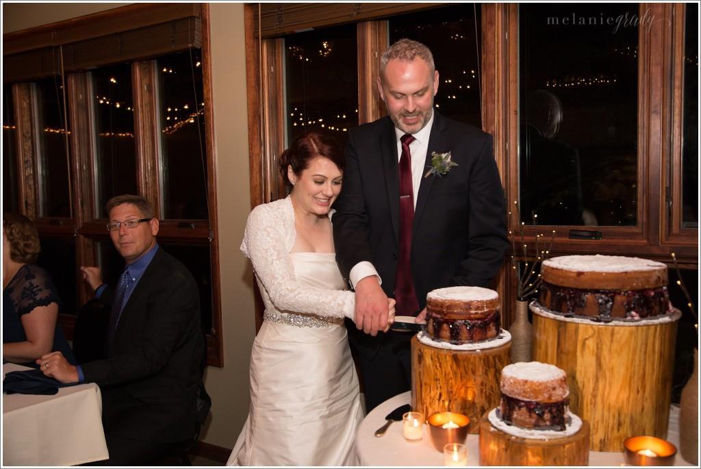 cake cutting